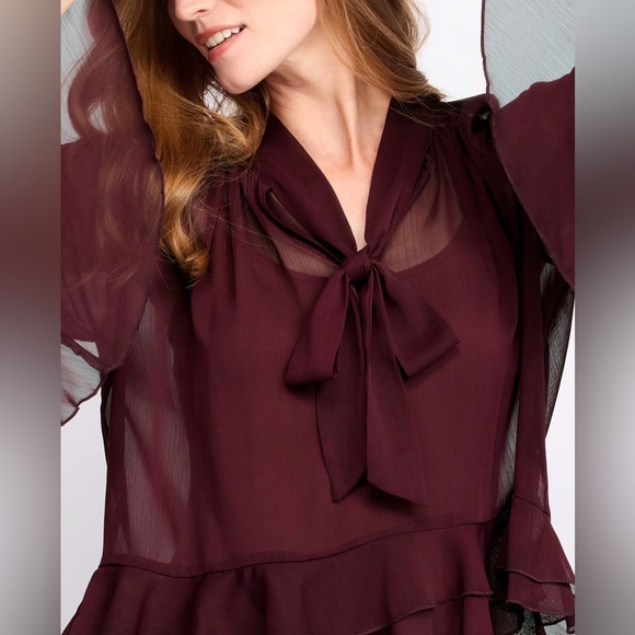 Lucy Paris Burgundy Kyle V-Neck Long Sleeve Chiffon Ruffle Top - Picture 3 of 6